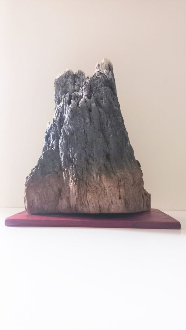 LA CRETE DE LA SENTINELLE - Créateur de Montagnes