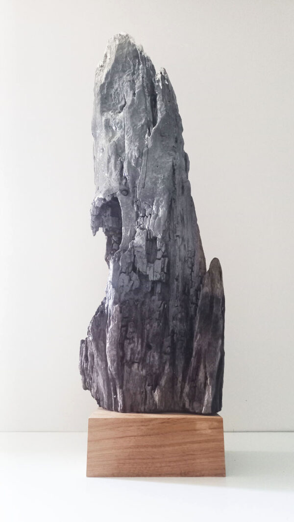 Pointes et aiguille de l'Epéna - Créateur de Montagnes