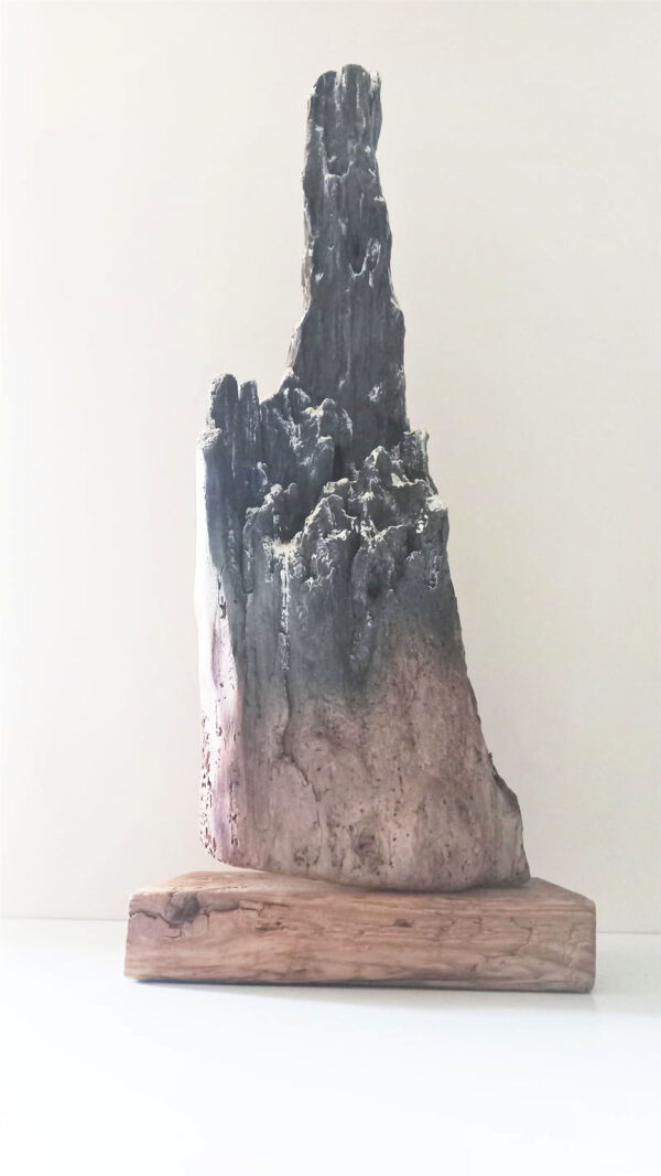 ROCHE MÉANE - Créateur de Montagnes